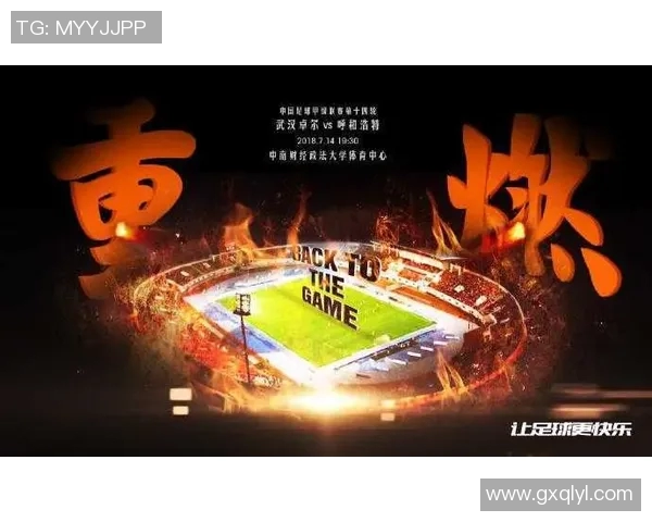 武汉极限运动队技术表现数据分析与提升策略探讨