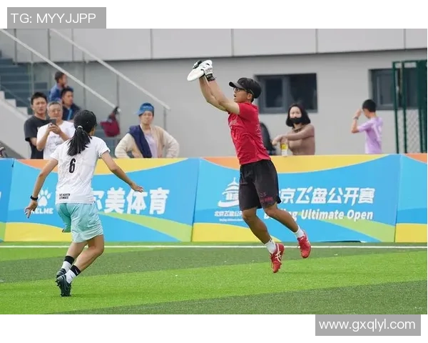 飞盘盛宴：深入剖析杭州飞盘队的实力与发展潜力