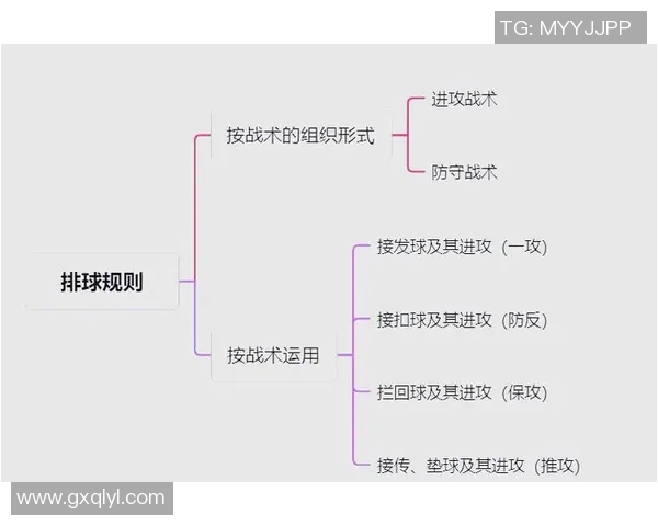 杭州排球队意识对比深度剖析与战术执行的影响探讨