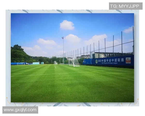 广州足球队的崛起与挑战：深度解析球队意识与发展之路