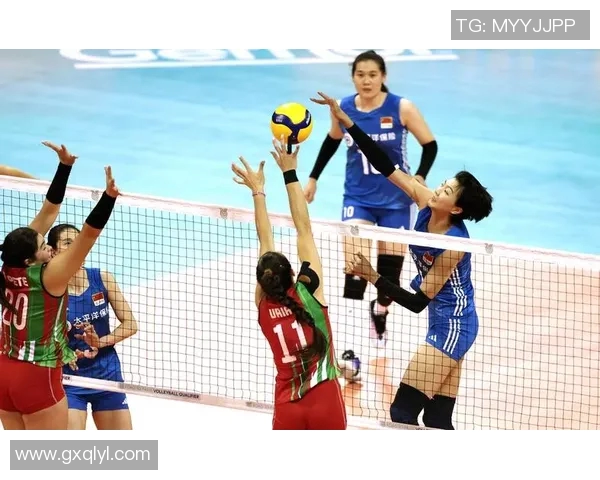 杭州排球队的转型升级之路探索与创新实践分析