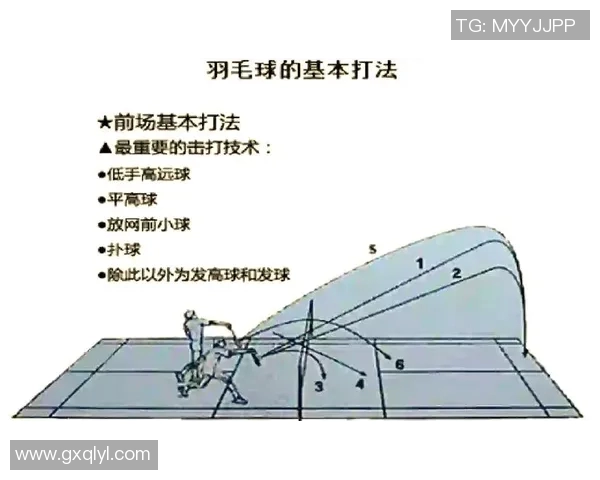 羽毛球盛宴：深入解析北京羽毛球队的技术与训练秘诀