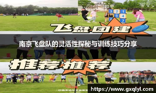 南京飞盘队的灵活性探秘与训练技巧分享