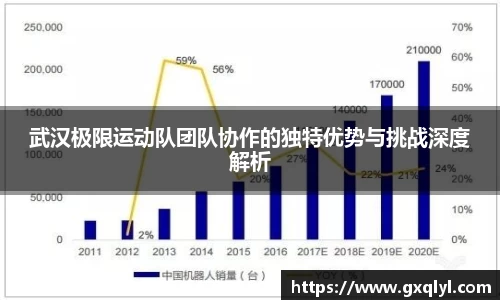 武汉极限运动队团队协作的独特优势与挑战深度解析