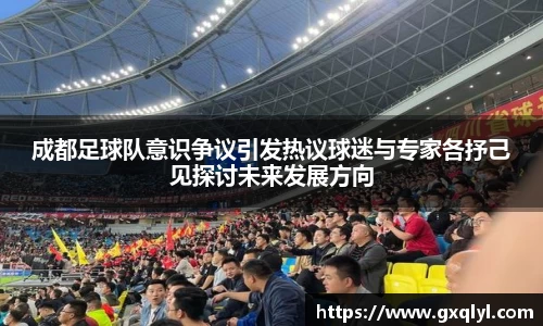成都足球队意识争议引发热议球迷与专家各抒己见探讨未来发展方向