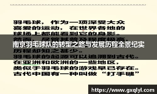南京羽毛球队的转型之路与发展历程全景纪实