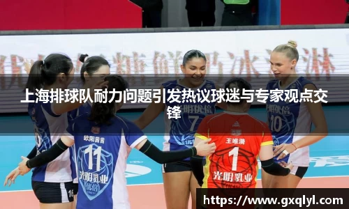 上海排球队耐力问题引发热议球迷与专家观点交锋