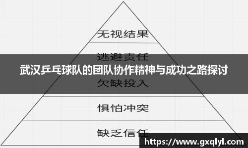 武汉乒乓球队的团队协作精神与成功之路探讨