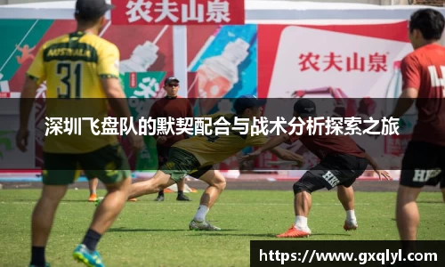 深圳飞盘队的默契配合与战术分析探索之旅